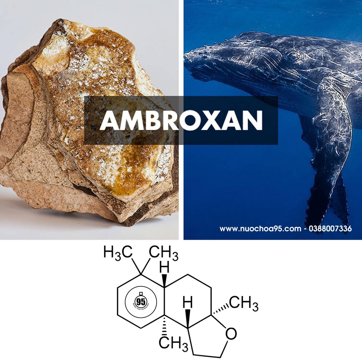 Hương Ambroxan